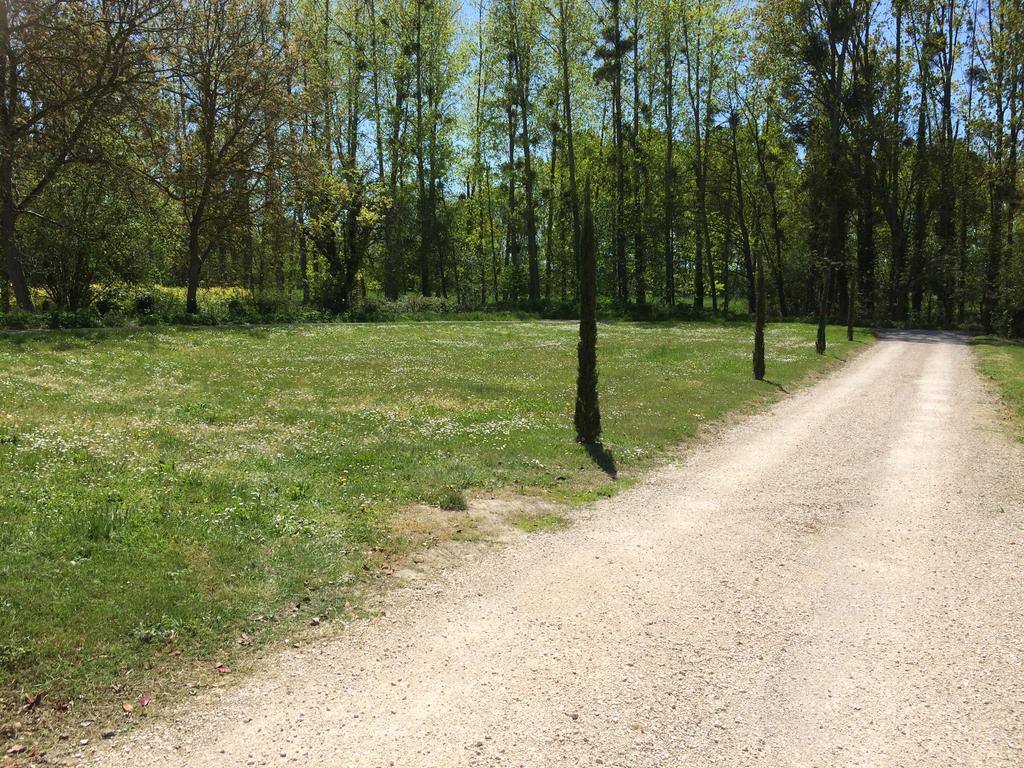 Gite Du Ruisseau De La Renne Thésée Buitenkant foto
